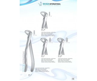 Extracting Forceps